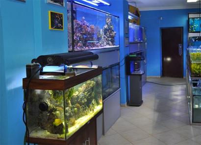 Заработок на производстве и продаже аквариумов Аквариумный бизнес из каких материалов делают